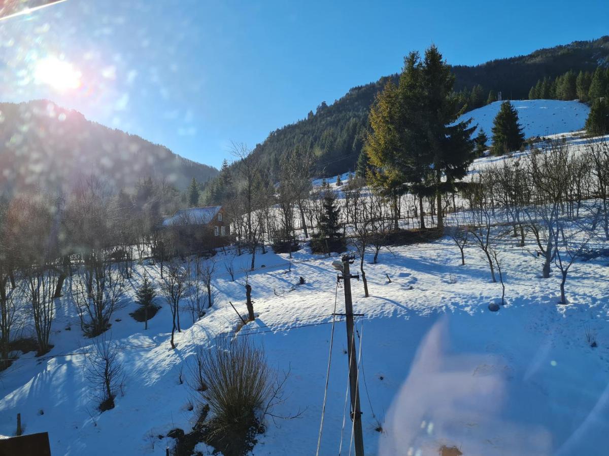 Penzion Mala Fatra U Durka Zsolna Kültér fotó
